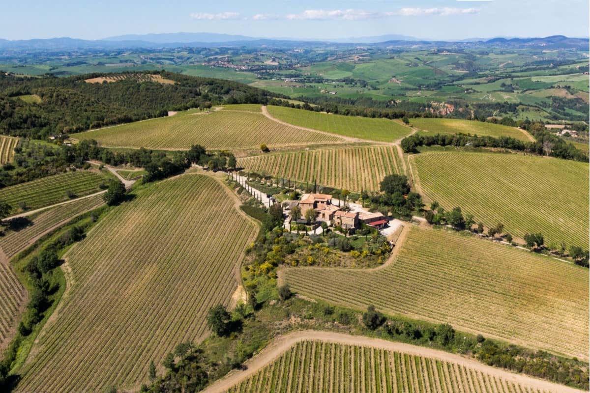 Rivoluzione Allegrini tra Valpolicella, Bolgheri e Montalcino
